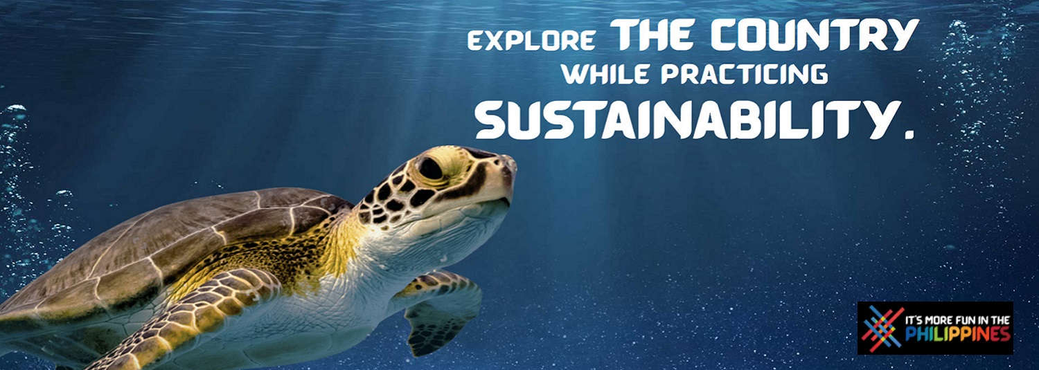 Sea turtle graphic